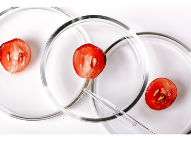 Différence entre cosmétique naturel et biologique