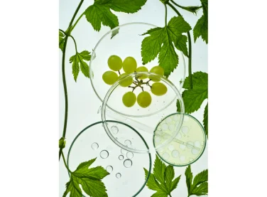 label Natural Certified pour les cosmetiques Maison Éole