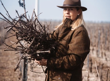 Sarments de la vigne, Maison Éole
